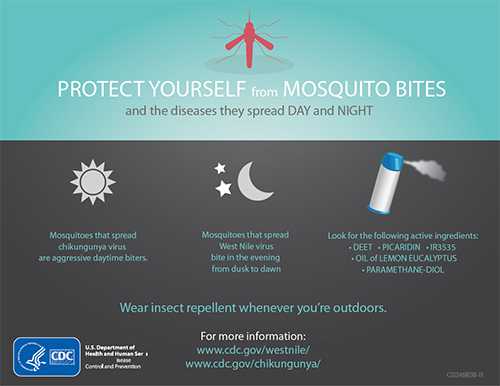 Poster: Protect yourself form mosquito bites