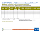 AV Fistula &  Graft Cannulation and Decannulation Audit Tool