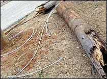 Downed Power Pole and Power Lines