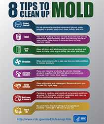 8 Tips to Cleanup Mold