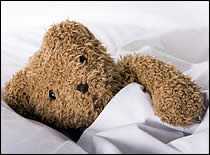 	Photo of teddy bear.