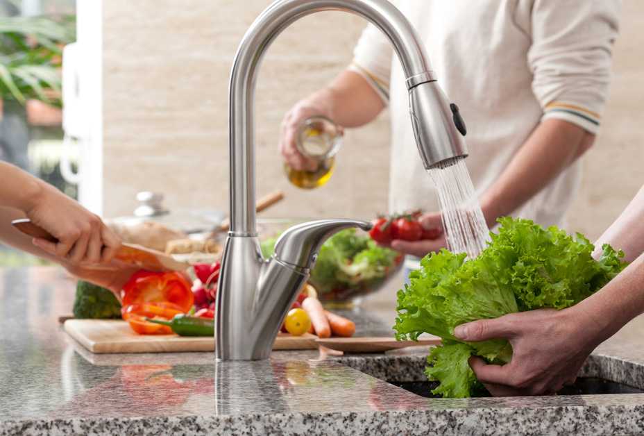 Chefs cooking and washing vegetables