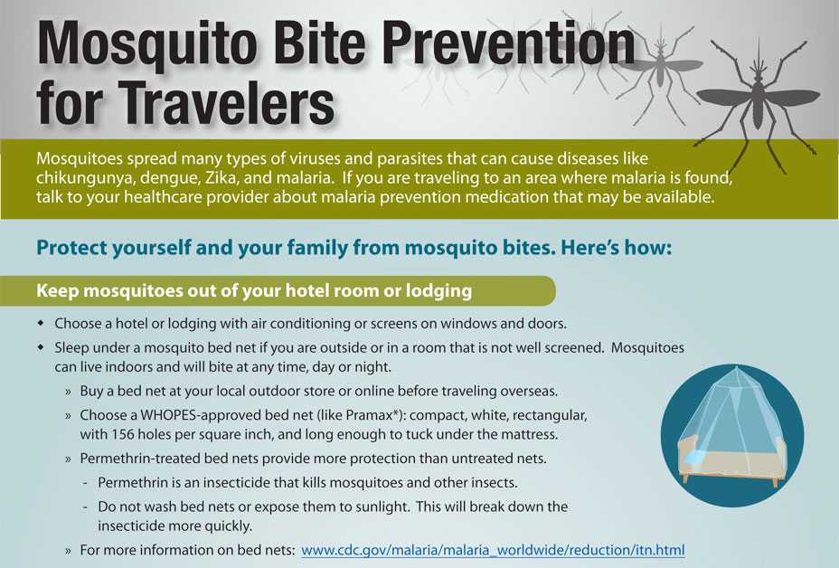 Infographic of ways to avoid mosquito bites