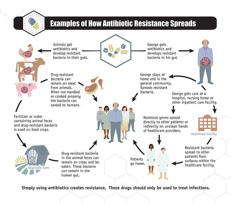 how Antibiotic Resistance Spreads