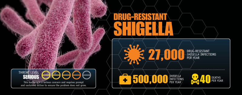 Drug-Resistant Shigella image