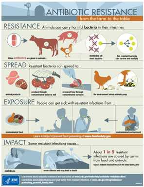 AR from Farm to Table