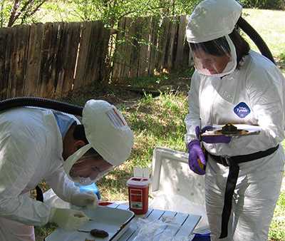 Epi Elective Program Fellows testing mouse in hazmat uniform.