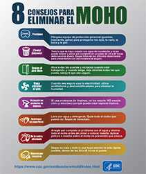 8 consejos para eliminar el moho