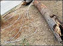 	Fotografía de cable del tendido eléctrico derribado