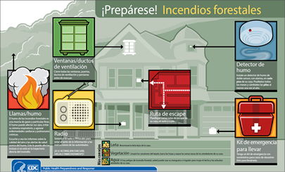 Imagen de infografía sobre los incendios forestales