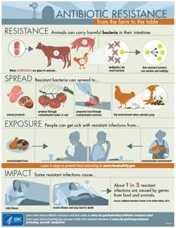 INFOGRAPHIC: Antibiotic resistance.