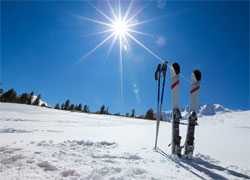 Skis standing in snow