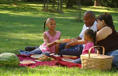 Family enjoying picnic