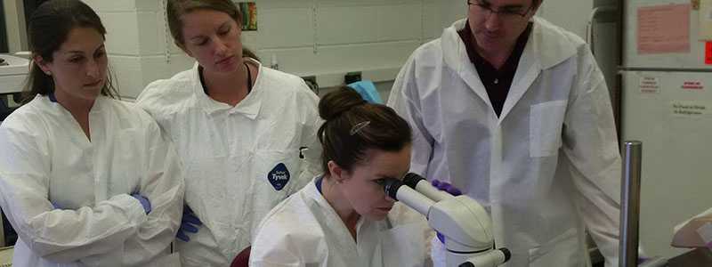 A Laboratory Leadership Service (LLS) fellow examines an environmental sample alongside New York City Department of Health and Mental Hygiene laboratory staff, during a Legionnaires’ disease outbreak investigation. New York City, NY (2015)