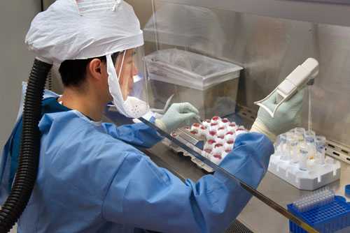 A CDC Scientist harvests H7N9 virus that has been grown for sharing with partner laboratories for research purposes