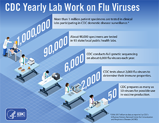 CDC Yearly Lab Work on Flu Viruses