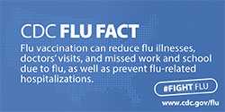 CDC Flu Fact