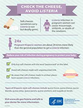 Thumbnail for Check the Cheese Infographic