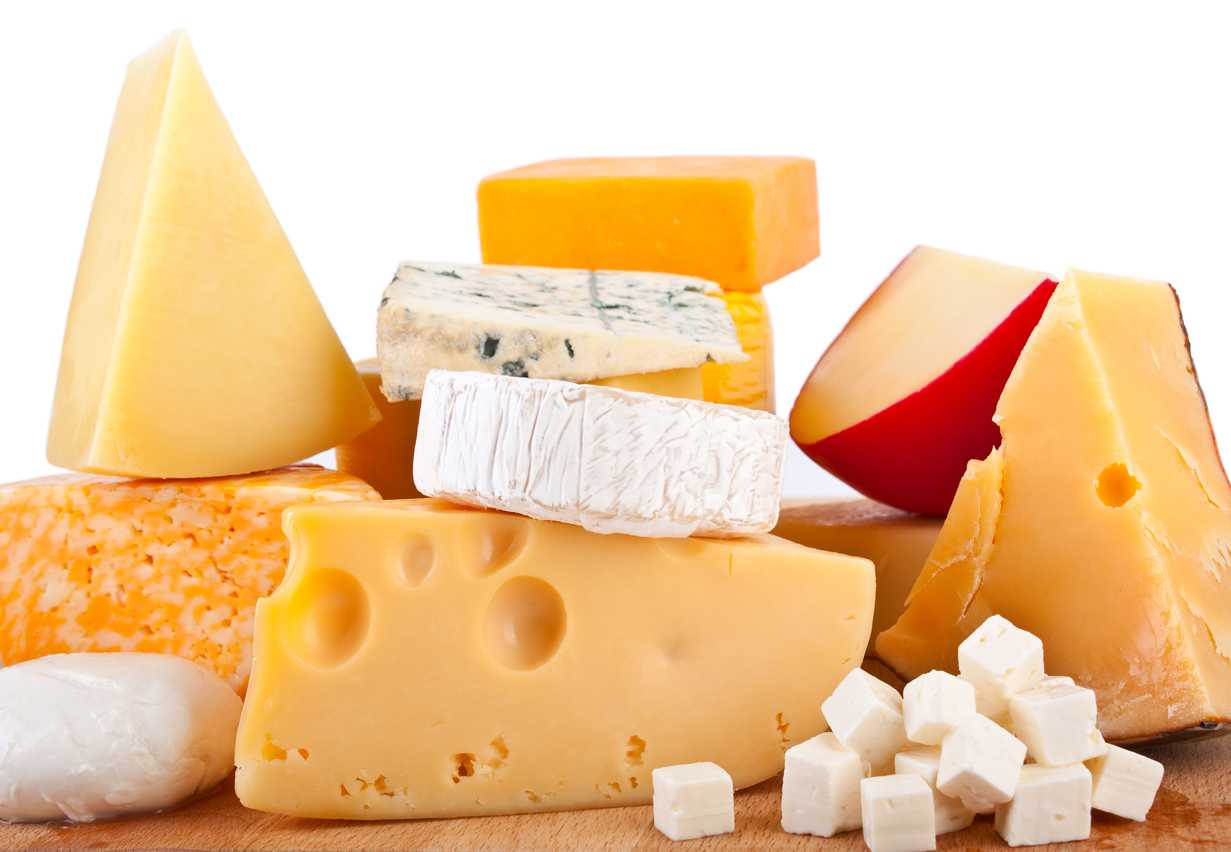 Various types of cheeses