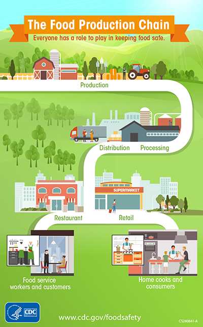 The Food Production Chain Everyone has a role to play in keeping food safe. Production Processing Distribution Restaurant Food service workers and customers Retail home cooks and consumers