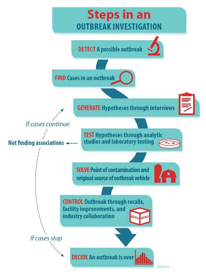 Steps in an outbreak investigation. 1.Detecting a possible outbreak 2.Finding cases in an outbreak 3.Generating hypotheses through interviews 4.Test hypotheses through analytic studies and lab testing. 5.Solve Point of contamination and original source of outbreak vehicle 6.Controlling outbreak though recalls, facility improvements and industry collaboration. 7.Deciding an outbreak is over.