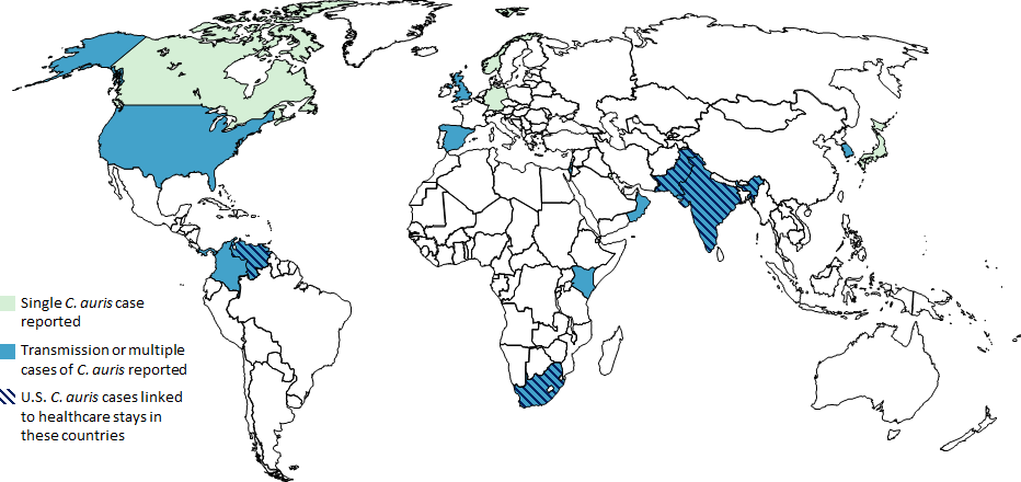 Single cases of C. auris have been reported from Canada, Germany, Japan, Kuwait, and Norway. Multiple cases of C. auris have been reported from Colombia, India, Israel, Kenya, Oman, Pakistan, Panama, South Korea, South Africa, Spain, the United Kingdom, the United States (primarily from New York City Metropolitan Area and New Jersey) and Venezuela; in some of these countries, extensive transmission of C. auris has been documented in more than one hospital. U.S. cases of C. auris have been found in patients who had recent stays in healthcare facilities in India, Pakistan, South Africa and Venezuela, which also have documented transmission.