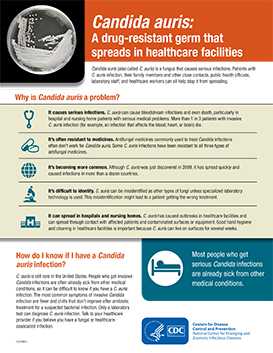 Candida auris fact sheet