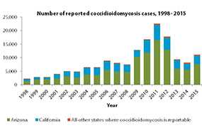 Statistics