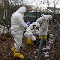 Disease detectives collecting soil samples to test for fungus