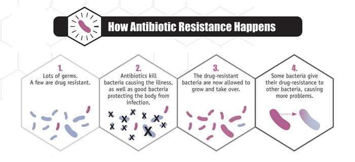 How Antibiotic Resistance Happens