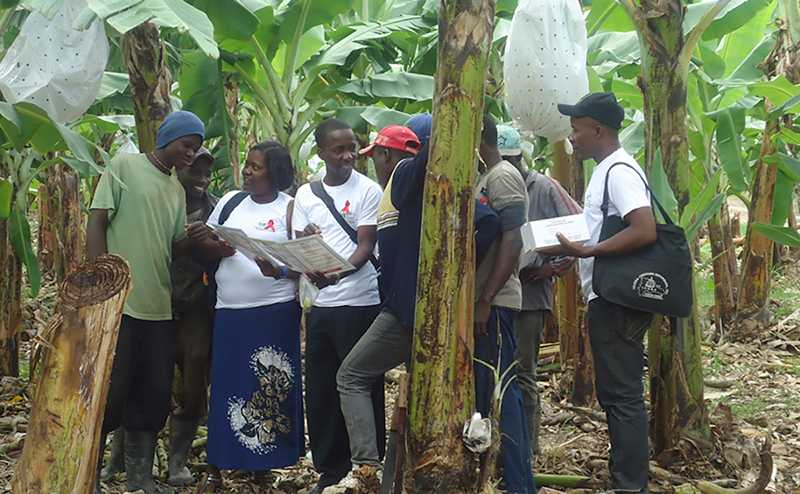 Local partners conduct outreach and perform rapid HIV testing to priority, difficult-to-reach populations at risk for HIV infection in Mao, Valverde. 