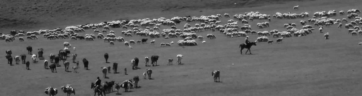 	A potentially contaminated grassland pasture tested during an investigation of a human cutaneous anthrax outbreak in the Kakheti region, Eastern Georgia, 2012. 