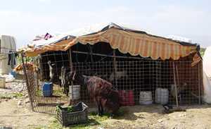 image of a house in Jordan