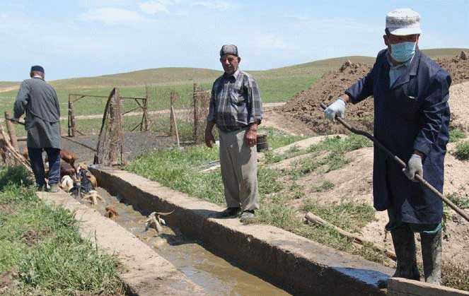 To prevent Crimean-Congo Hemorrhagic Fever, herders in rural Kazakhstan work with Ministry of Health field staff to disinfect goats through a bath with an acaricide, a substance that kills ticks and mites.