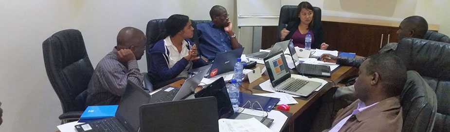 	CDC team members and WHO-AFRO representatives conduct an IDSR e-Learning pre-launch workshop in Blantyre, Malawi.