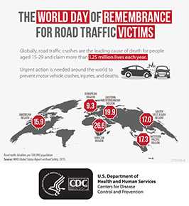  Road Traffic Safety infographic