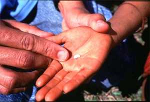 A physician giving ivermectin tablets to those infected with onchocercal parasites. Credit: WHO/TDR/Mark Edwards