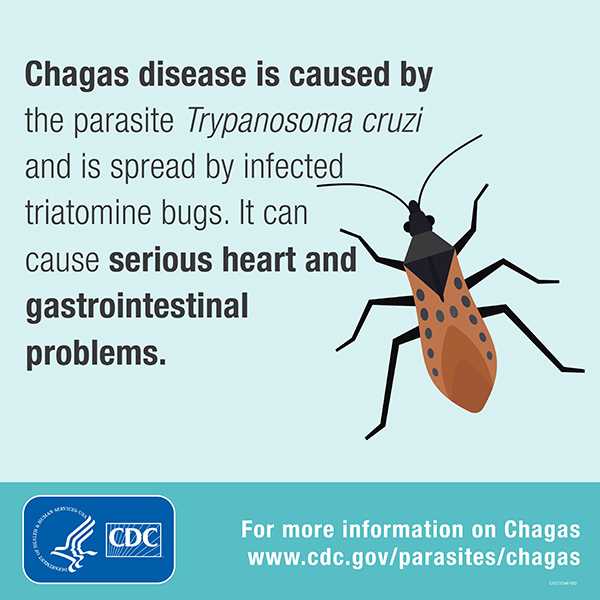 Chagas disease is caused by the parasite Trypanosoma cruzi and is spread by infected triatomine bugs. www.cdc.gov/globalhealth