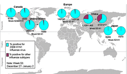 This picture depicts a map of the world that shows the co-circulation of 2009 H1N1 flu and seasonal influenza viruses. The United States, Canada, Europe, Japan and China are depicted. There is a pie chart for each that shows the percentage of laboratory confirmed influenza cases that have tested positive for either 2009 H1N1 flu or other influenza subtypes. The majority of laboratory confirmed influenza cases reported in the United States, Canada, Europe, Japan and China have been 2009 H1N1 flu.
