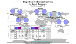 This picture depicts a map of the world that shows the co-circulation of 2009 H1N1 flu and seasonal influenza viruses. The United States, Canada, Europe, Japan and China are depicted. There is a pie chart for each that shows the percentage of laboratory confirmed influenza cases that have tested positive for either 2009 H1N1 flu or other influenza subtypes. The majority of laboratory confirmed influenza cases reported in the United States, Canada, Europe, Japan and China have been 2009 H1N1 flu.
