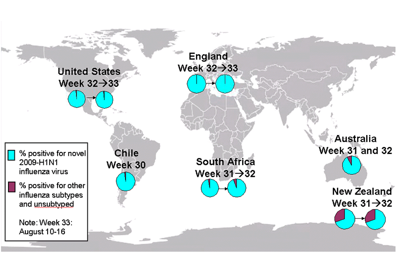 This is a map of the world that shows the co-circulation of 2009 H1N1 flu and seasonal influenza viruses. Seven countries are featured, including Canada, Brazil, Chile, England, South Africa, Australia (New South Wales) and New Zealand. For each of these countries, there is a pie chart that shows the percentage of laboratory confirmed influenza cases that have tested positive for either 2009 H1N1 flu or other influenza subtypes. Other influenza subtypes are being reported more commonly in the countries within the Southern Hemisphere because the flu season has already started there. South Africa and New South Wales, Australia have an asterisk next to them because the seasonal influenza strains that are circulating in these countries are mostly H3 subtype influenza viruses.