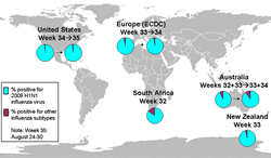 This is a map of the world that shows the co-circulation of 2009 H1N1 flu and seasonal influenza viruses. Seven countries are featured, including Canada, Brazil, Chile, England, South Africa, Australia (New South Wales) and New Zealand. For each of these countries, there is a pie chart that shows the percentage of laboratory confirmed influenza cases that have tested positive for either 2009 H1N1 Flu or other influenza subtypes. Other influenza subtypes are being reported more commonly in the countries within the Southern Hemisphere because the flu season has already started there. South Africa and New South Wales, Australia have an asterisk next to them because the seasonal influenza strains that are circulating in these countries are mostly H3 subtype influenza viruses.