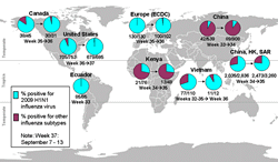 This picture depicts a map of the world that shows the co-circulation of 2009 H1N1 flu and seasonal influenza viruses. The United States, Canada, Ecuador, Europe, Kenya, Vietnam, China and Hong Kong (China) are depicted. There is a pie chart for each that shows the percentage of laboratory confirmed influenza cases that have tested positive for either 2009 H1N1 flu or other influenza subtypes. The majority of laboratory confirmed influenza cases reported in the United States, Canada, Ecuador, Europe, Vietnam and Hong Kong (China) are currently due to 2009 H1N1 influenza virus. However, the majority of laboratory confirmed influenza cases reported in China and Kenya are positive for other influenza subtypes.