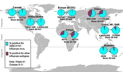 This picture depicts a map of the world that shows the co-circulation of 2009 H1N1 flu and seasonal influenza viruses. The United States, Canada, Europe, Australia, Kenya, China and Hong Kong (China) are depicted. There is a pie chart for each that shows the percentage of laboratory confirmed influenza cases that have tested positive for either 2009 H1N1 flu or other influenza subtypes. The majority of laboratory confirmed influenza cases reported in the United States, Canada, Europe, Australia, Kenya, China and Hong Kong (China) have been 2009 H1N1 flu. 
