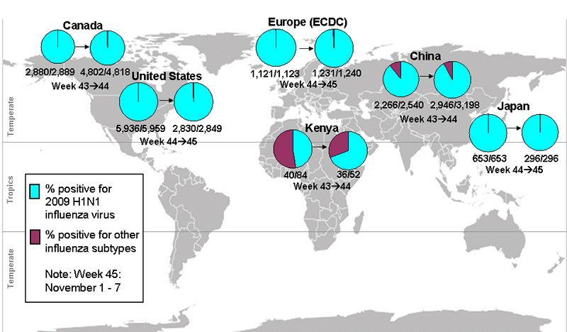 This picture depicts a map of the world that shows the co-circulation of 2009 H1N1 flu and seasonal influenza viruses. The United States, Canada, Europe, Kenya, Japan and China are depicted. There is a pie chart for each that shows the percentage of laboratory confirmed influenza cases that have tested positive for either 2009 H1N1 flu or other influenza subtypes. The majority of laboratory confirmed influenza cases reported in the United States, Canada, Europe, Japan and China have been 2009 H1N1 flu.