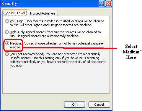 Displays the Security Level Sub-Command, which is found under the Macro's Tool menu.  One should select the option of Medium to ensure that the Macros will run at all times.