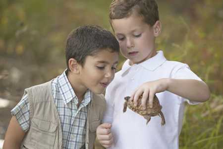 Two boys holding a turtle