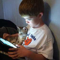 	Boy sits with kitten while he looks at iPad.