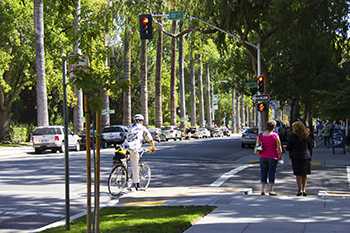 	people walking and biking