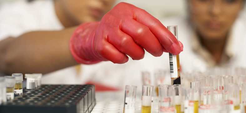 laboratory workers handling samples